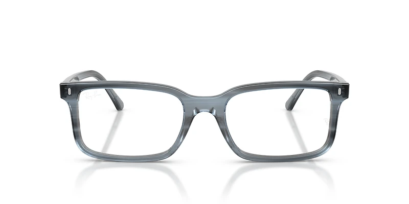RB5445 Optics