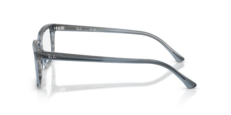 RB5445 Optics