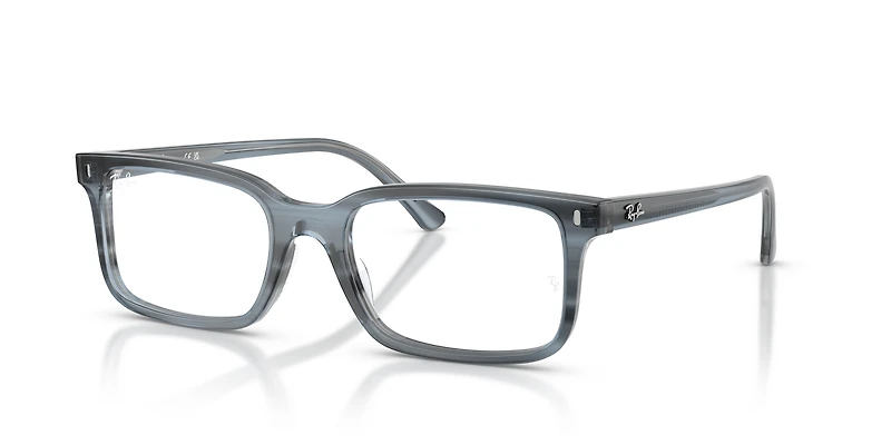 RB5445 Optics