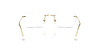 RB3768V Optics