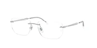RB3768V Optics