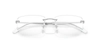 RB3768V Optics