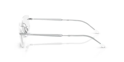 RB3768V Optics