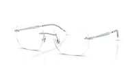 RB3768V Optics