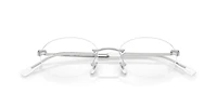 RB3767V Optics