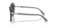 SK6017