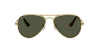 RB3925 Aviator Max