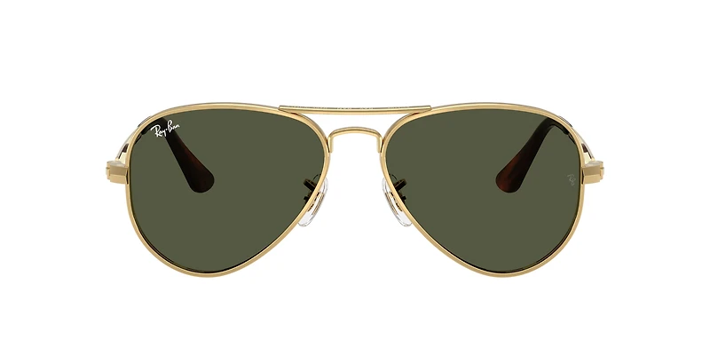 RB3925 Aviator Max