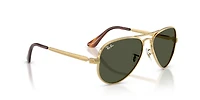 RB3925 Aviator Max