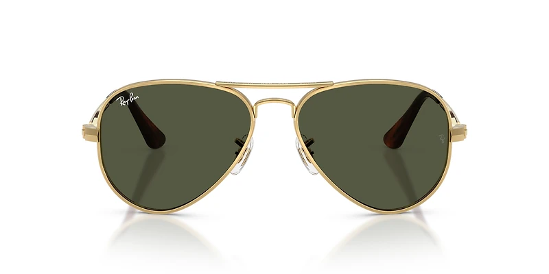 RB3925 Aviator Max
