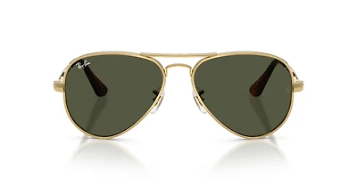 RB3925 Aviator Max