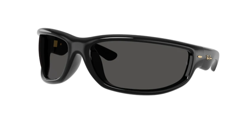 Ray-Ban Unisex Black