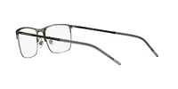 DG1309