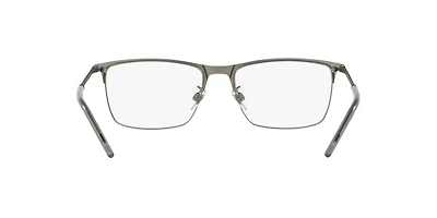 DG1309