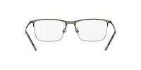 DG1309