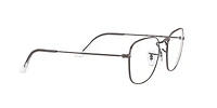 RB3857V Frank Optics