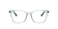RB7177 Optics