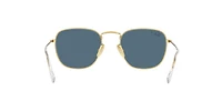 RB8157 Frank Titanium