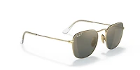 RB8157 Frank Titanium
