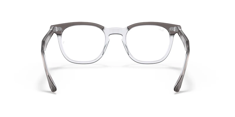 RB5398 Hawkeye Optics