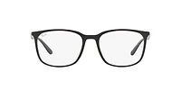 RB7199 Optics
