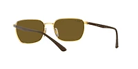 RB3684CH Chromance