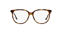 RB4378V Optics
