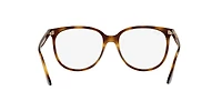 RB4378V Optics