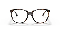 RB4378V Optics