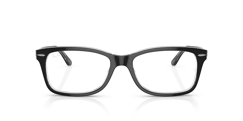 RB5428 Optics