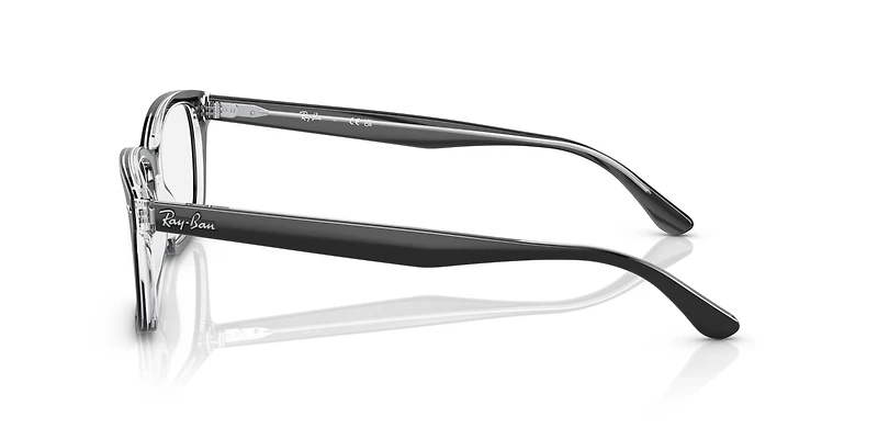 RB5428 Optics