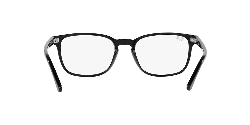 RB5418 Optics