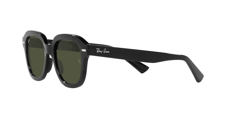 RB4398 Erik