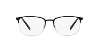 RB6494 Optics