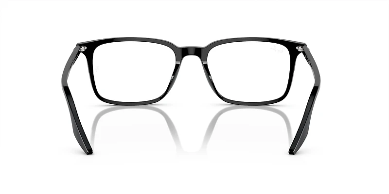 RB5421 Optics
