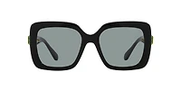 SK6001