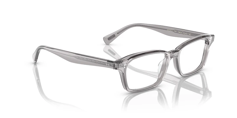 OV5501U Edelson