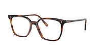 OV5488U Rasey