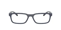AN7283 Raysin