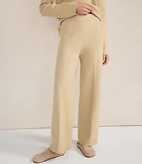 Haven Well Within Tuxedo Stripe Pants