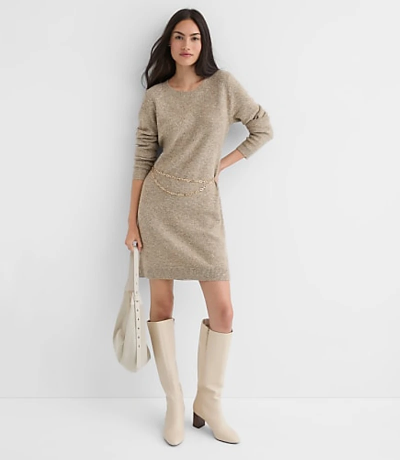 Petite Sequin Mini Sweater Dress