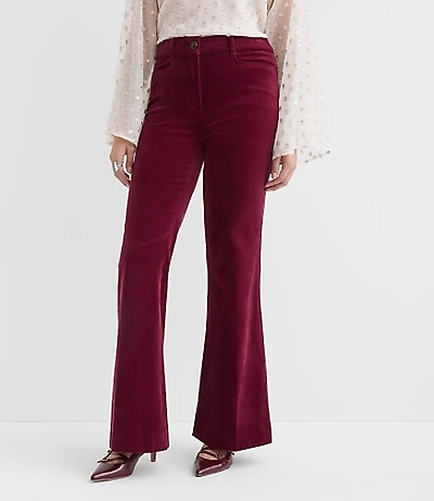 Petite Curvy Slim Flare Pants Stretch Velvet