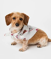 Ski Puppy Dog Bandana
