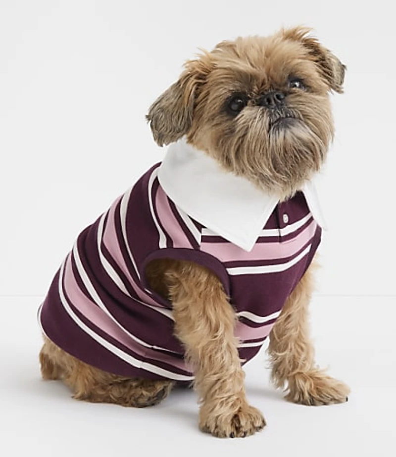 Lou & Grey Dog Rugby Shirt