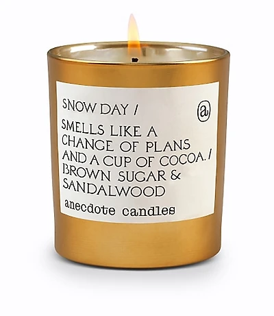 Anecdote Candles Snow Day Gold Tumbler Candle