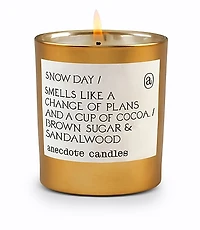 Anecdote Candles Snow Day Gold Tumbler Candle
