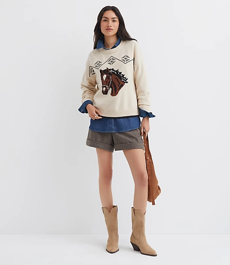 Horse Sweater
