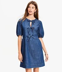 Petite Chambray Bow Mini Pocket Dress