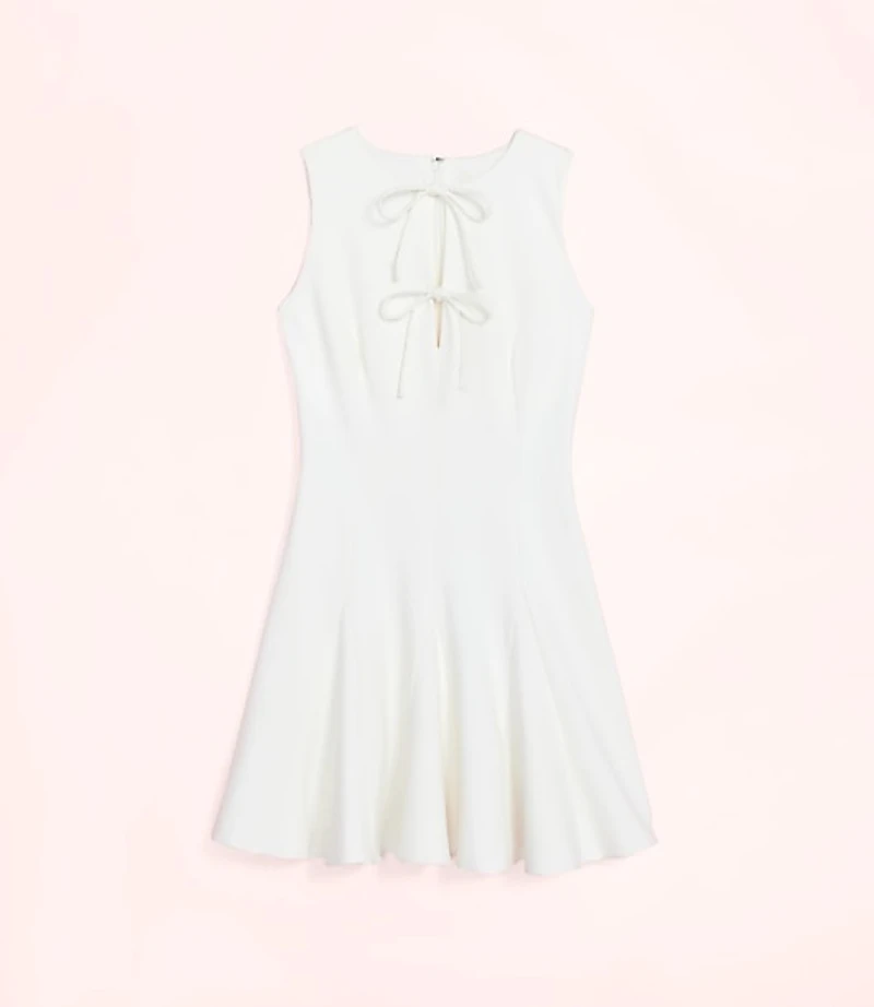 Lately Bow Flare Mini Dress