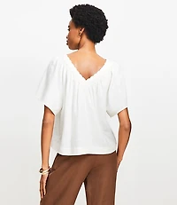 Petite Lace Trim V-Neck Blouse